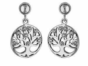 Boucles d'oreilles en argent , oxydes